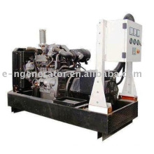 Competitive Price YANMAR Diesel Generator